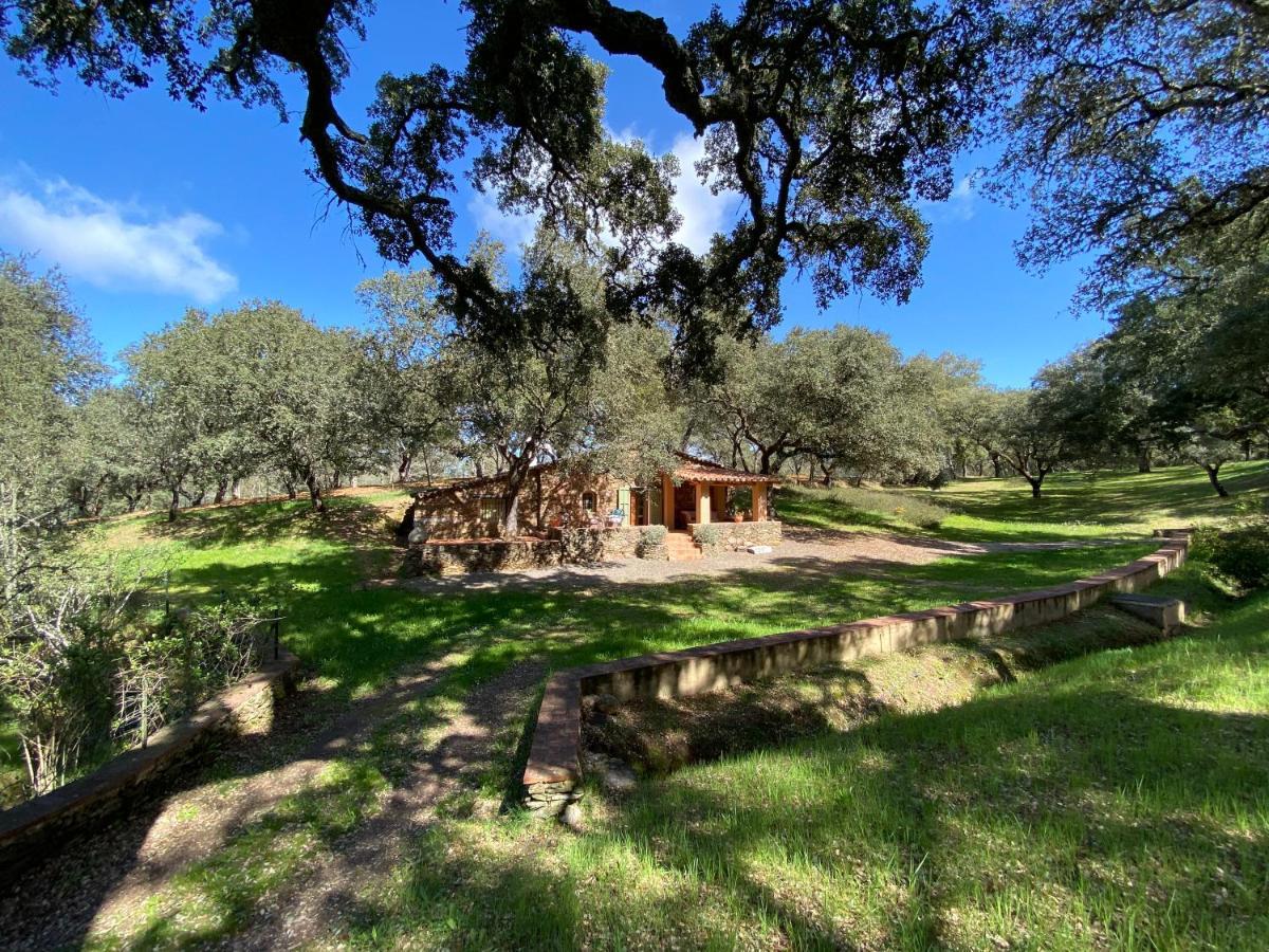 Valle Del Arroyo Casas Rurales - B&B - Solo Adultos Cortelazor Εξωτερικό φωτογραφία